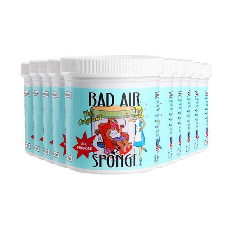 BAD AIR SPONGE 吸收异味空气净化剂 400g/罐*10