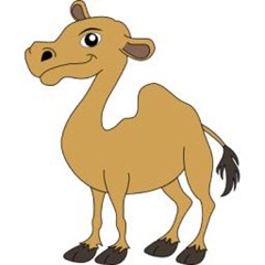 camelcamelcamel