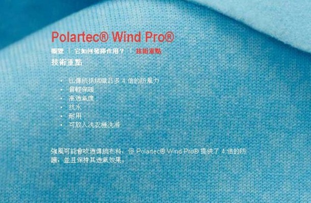 wind pro