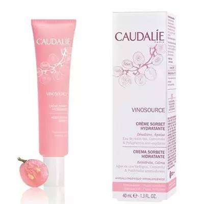 Caudalie欧缇丽 葡萄源莹润保湿水凝霜 40ml (冰淇淋霜)