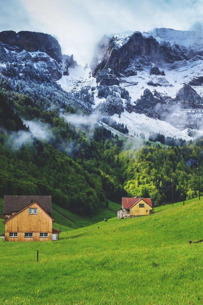 瑞士高山牧场一角