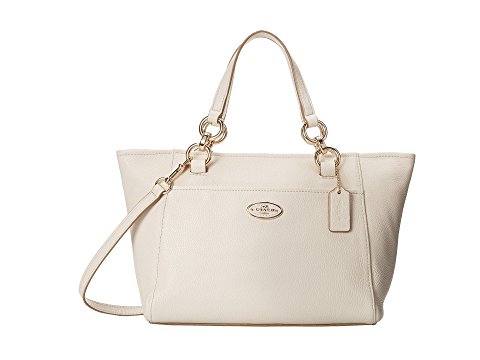 COACH Chicago Mini Ellis Tote